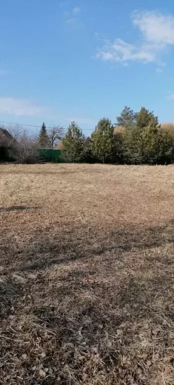 Участок в Ленинградская область, Гатчинский муниципальный округ, д. ... - Фото 2