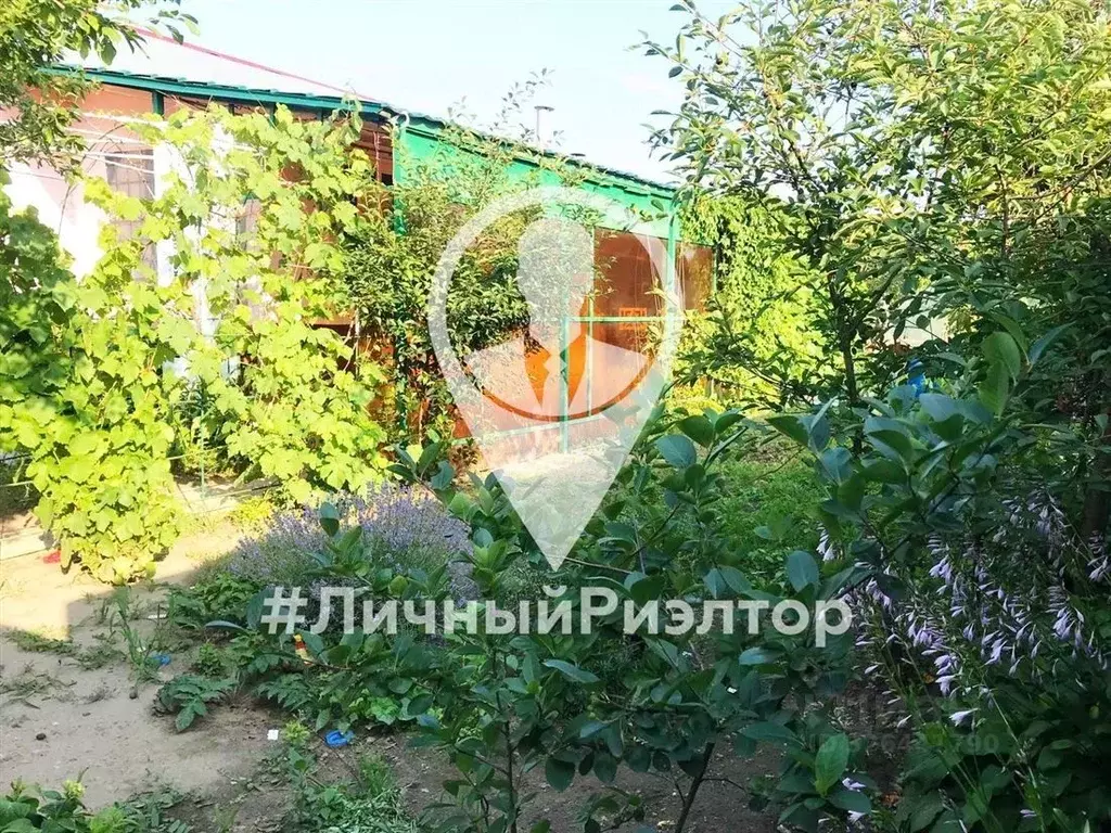 Дом в Рязанская область, Спасский муниципальный округ, с. Панино ул. ... - Фото 2