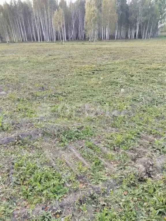 Участок в Тюменская область, Тюмень Центральная пл. (10.0 сот.) - Фото 2