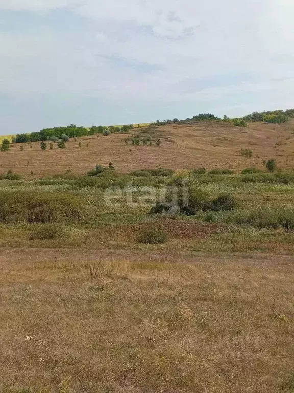 Участок в Белгородская область, Новооскольский муниципальный округ, с. ... - Фото 0