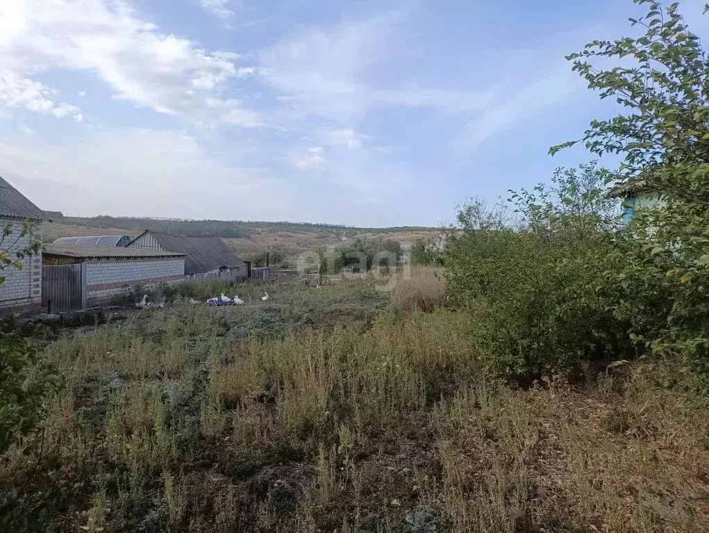 Участок в Белгородская область, Вейделевка рп ул. Пролетарская (15.6 ... - Фото 1