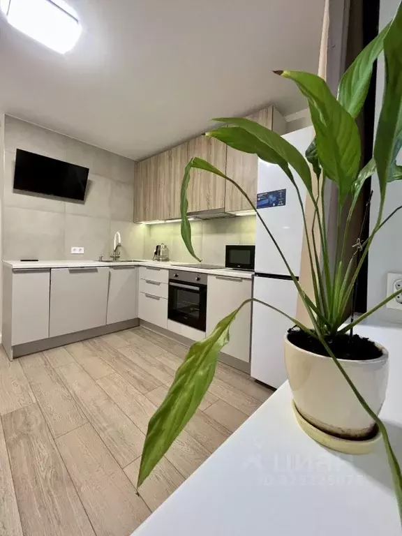 1-к кв. Ленинградская область, Мурино Всеволожский район, просп. ... - Фото 1