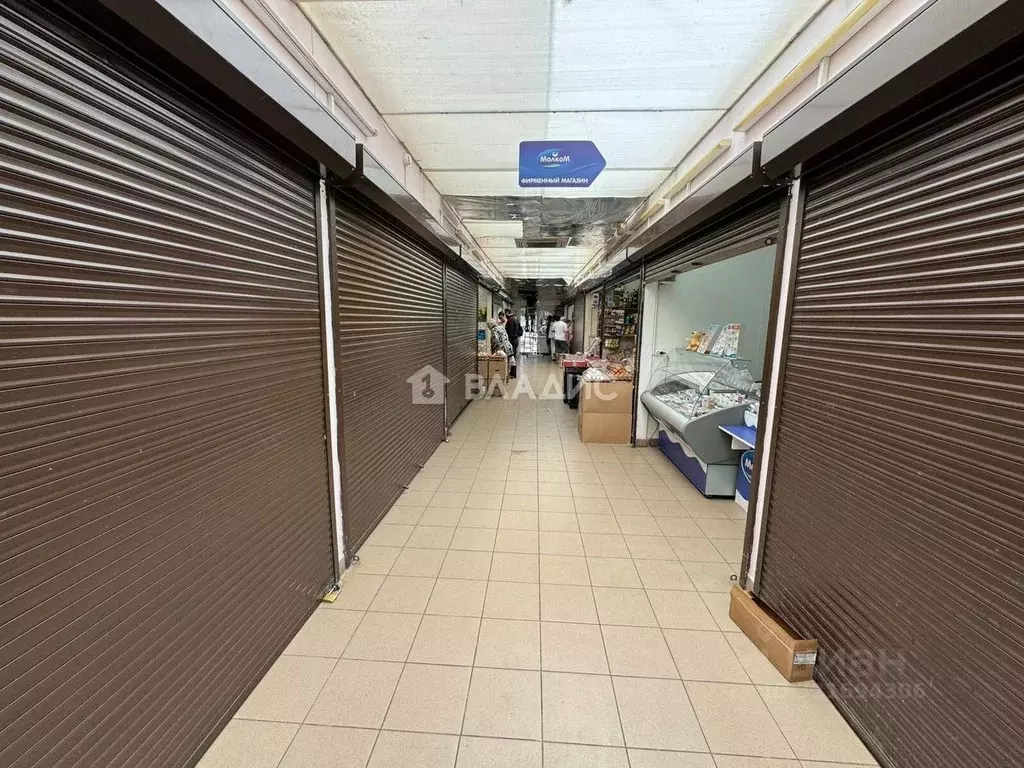 Торговая площадь в Пензенская область, Пенза ул. Попова, 3В (36 м) - Фото 2