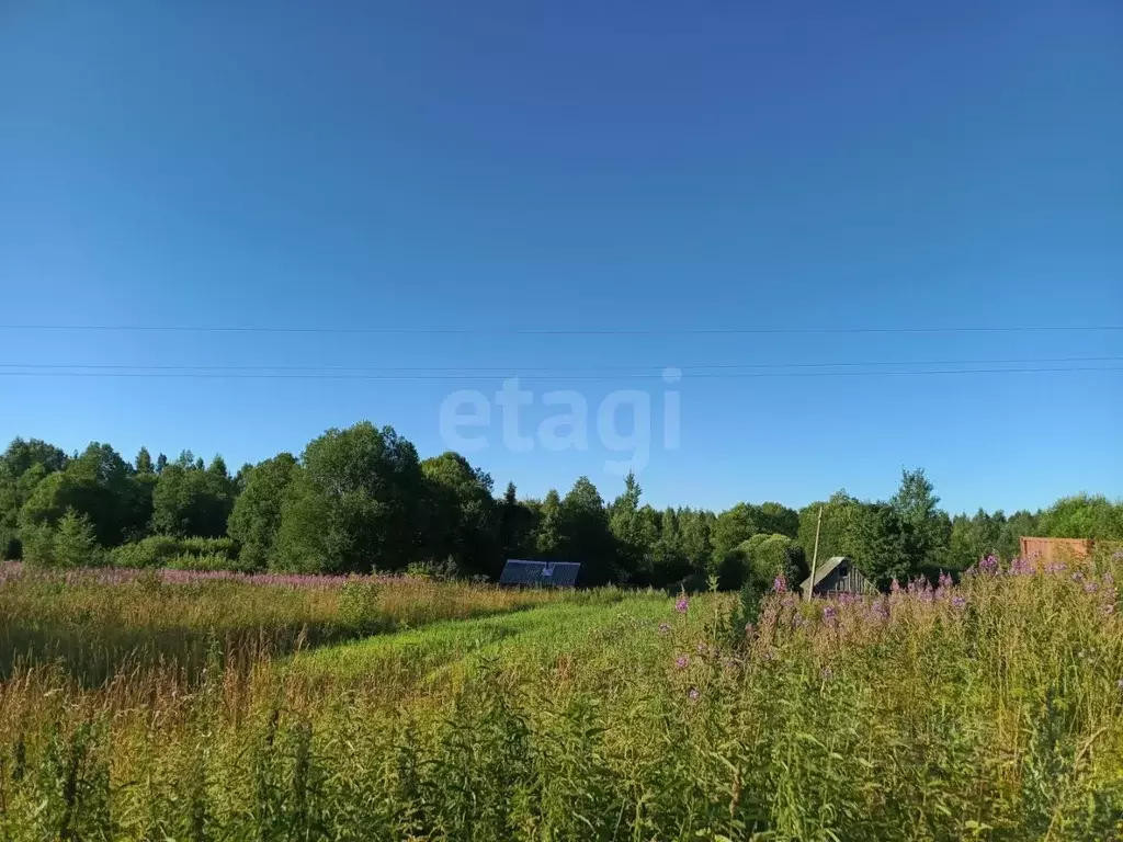 Участок в Ленинградская область, Киришский район, Будогощское ... - Фото 2
