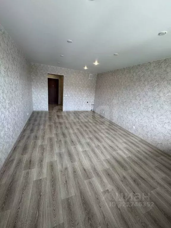 Студия Амурская область, Благовещенский район, с. Чигири Восточная ... - Фото 2