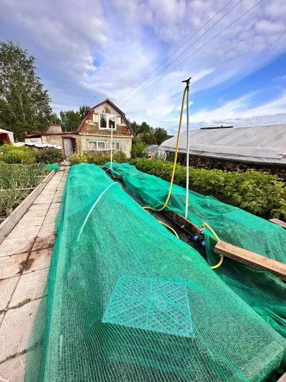 Дом в Пермский край, Березники № 66 СТ, 95 (43 м) - Фото 2