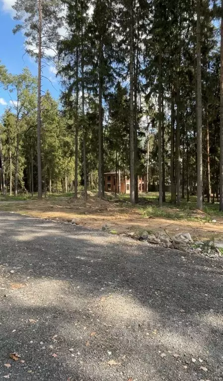 Участок в Московская область, Химки городской округ, д. Голиково ул. ... - Фото 1