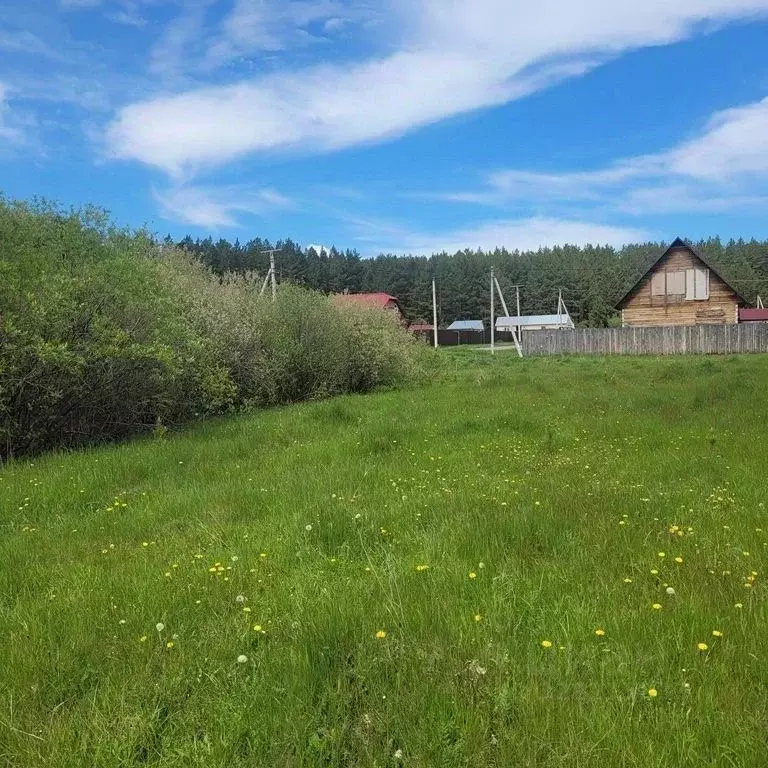 Участок в Курганская область, Кетовский муниципальный округ, с. ... - Фото 2