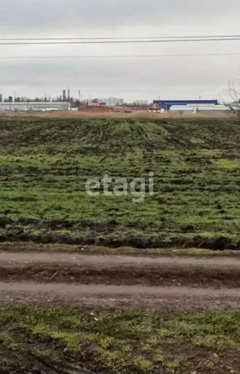 Участок в Ростовская область, Мясниковский район, Краснокрымское ... - Фото 1