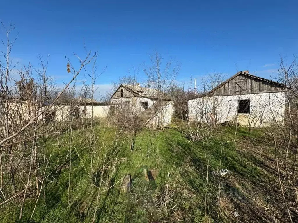 Участок в Крым, Ленинский район, с. Останино ул. Соколова (18.0 сот.) - Фото 1