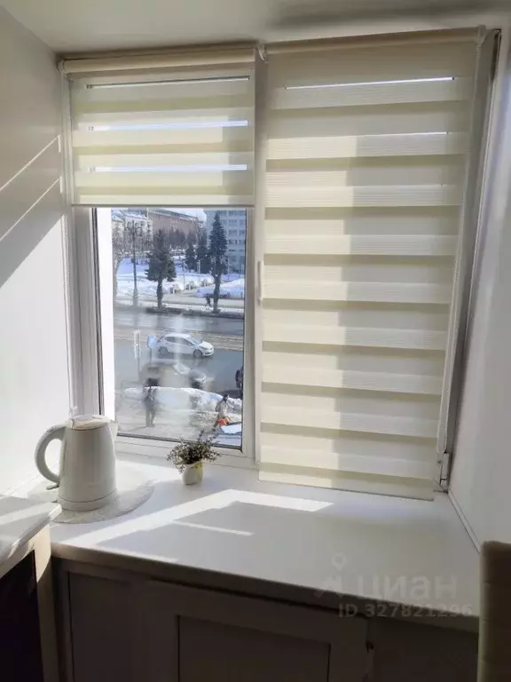 1-к кв. Пермский край, Пермь ул. Ленина, 47 (31.0 м) - Фото 2