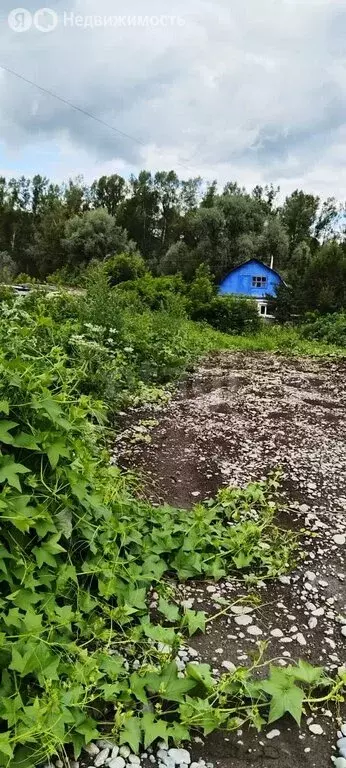 Участок в Майминский район, посёлок Карлушка, Катунская улица (18 м) - Фото 0