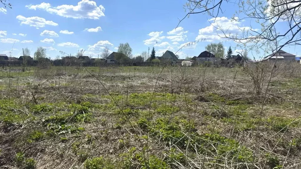 Участок в Ульяновская область, Тереньгульский район, Подкуровское ... - Фото 2