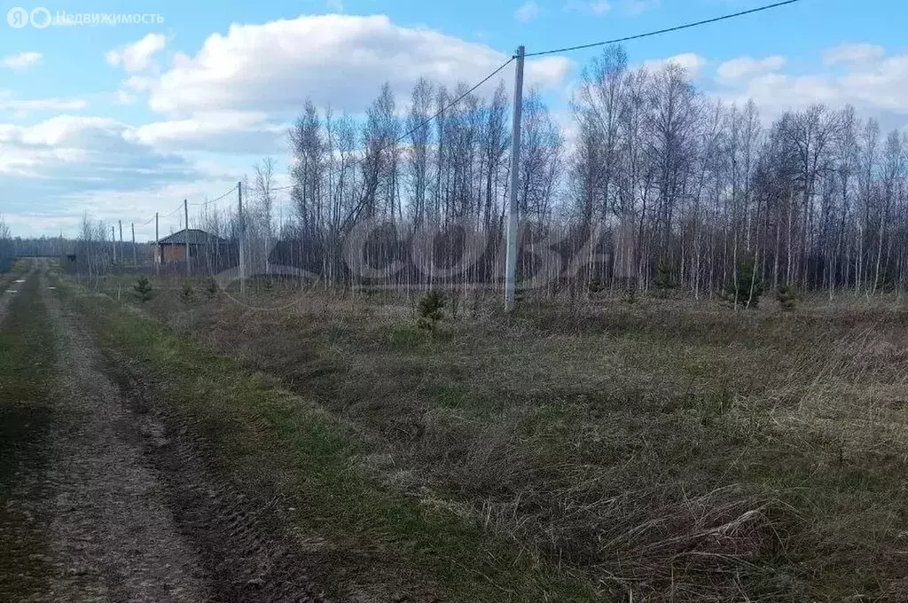 Участок в Ялуторовский район, село Киева (10 м) - Фото 0