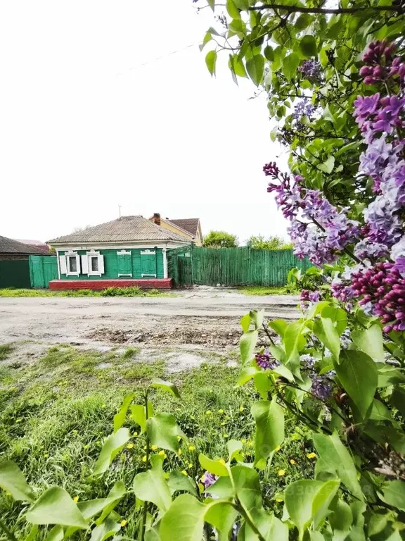 Дом в Омская область, Омск ул. 6-я Ремесленная, 44 (54 м) - Фото 2