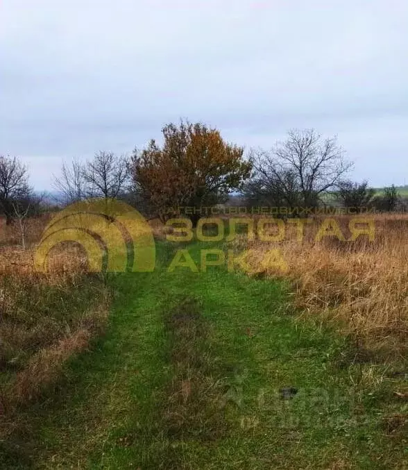 Участок в Краснодарский край, Темрюк ул. Казачья (4.0 сот.) - Фото 1