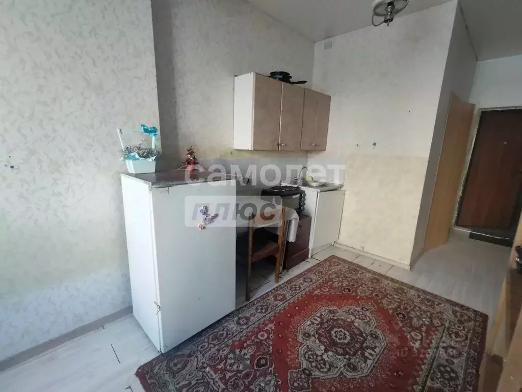 Студия Башкортостан, Уфа Рижская ул., 1/4 (18.1 м) - Фото 0