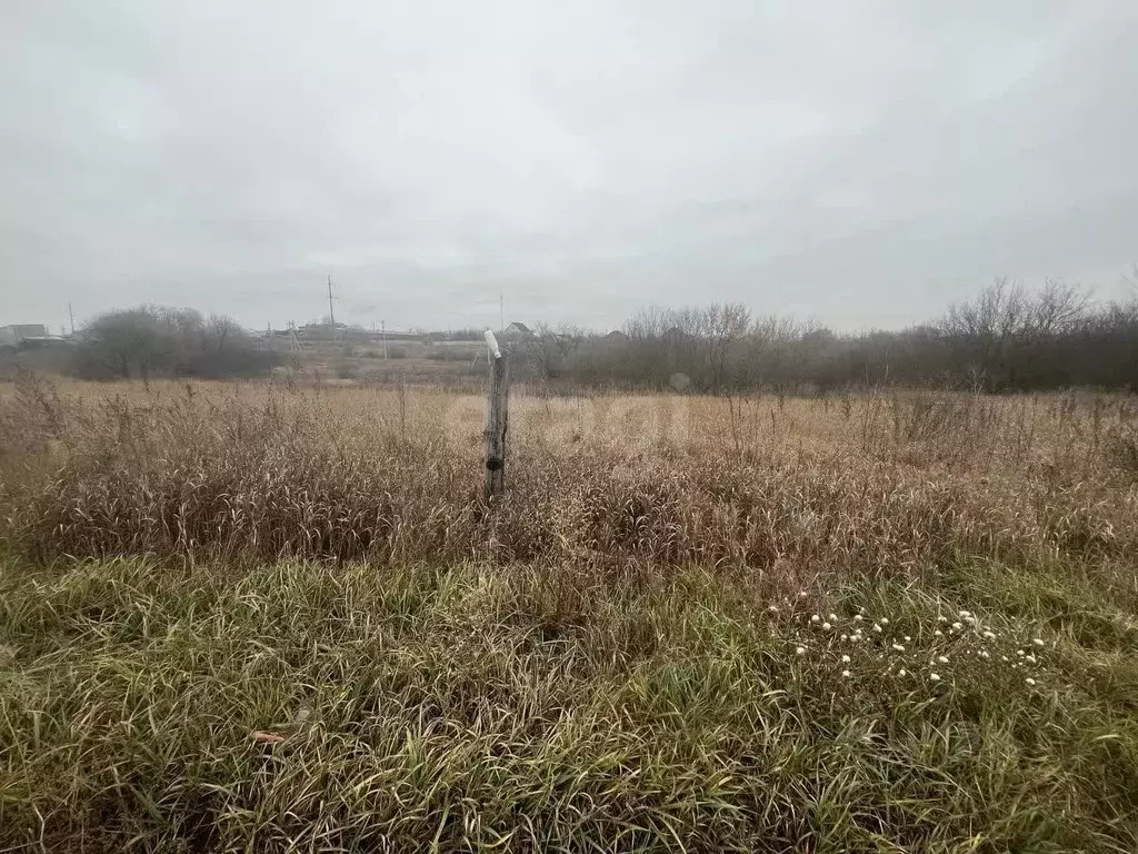 Участок в Белгородская область, Белгородский муниципальный округ, с. ... - Фото 1