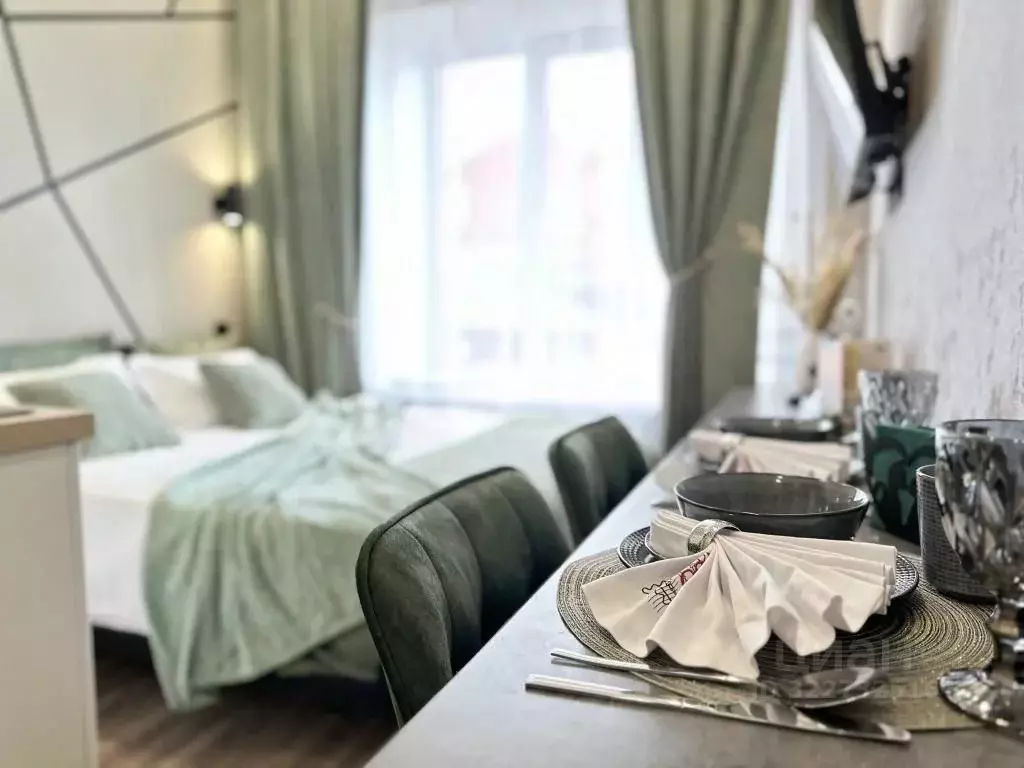 1-к кв. Татарстан, Казань ул. Карла Маркса, 5 (20.0 м) - Фото 2