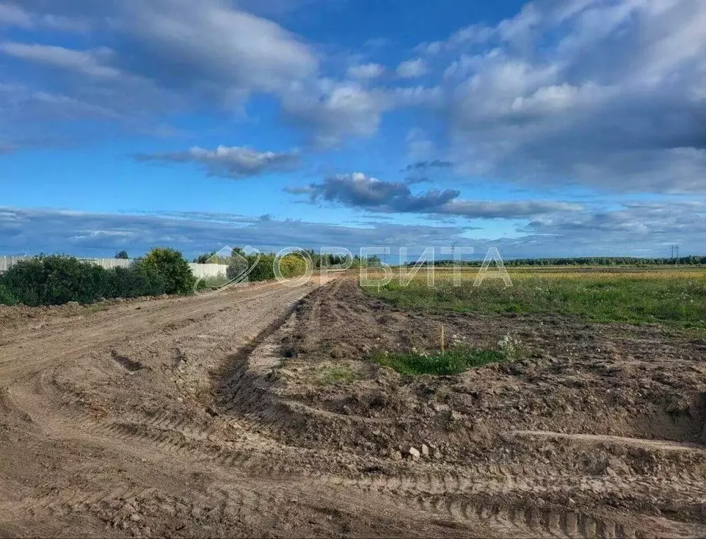 Участок в Тюменская область, Тюменский муниципальный округ, с. Щербак  ... - Фото 2