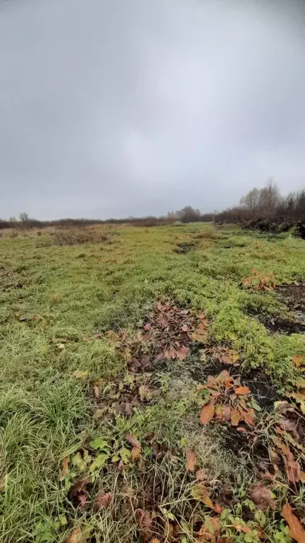 Участок в Башкортостан, Краснокамский район, Музяковский сельсовет, д. ... - Фото 1