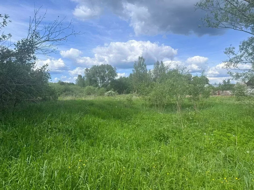 Участок в Московская область, Богородский городской округ, д. ... - Фото 0