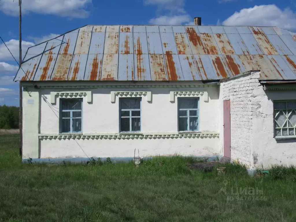 Дом в Липецкая область, Добровский муниципальный округ, с. Большой ... - Фото 1