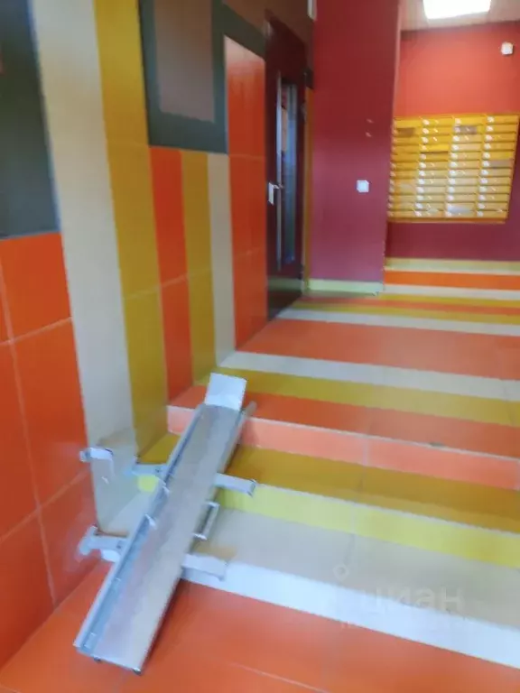 Студия Санкт-Петербург ул. Летчика Лихолетова, 14к3 (24.1 м) - Фото 1