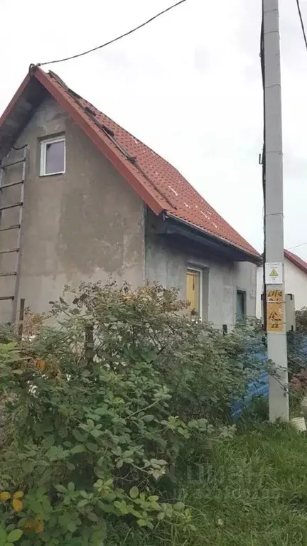 Дом в Калининградская область, Калининград  (40 м) - Фото 2