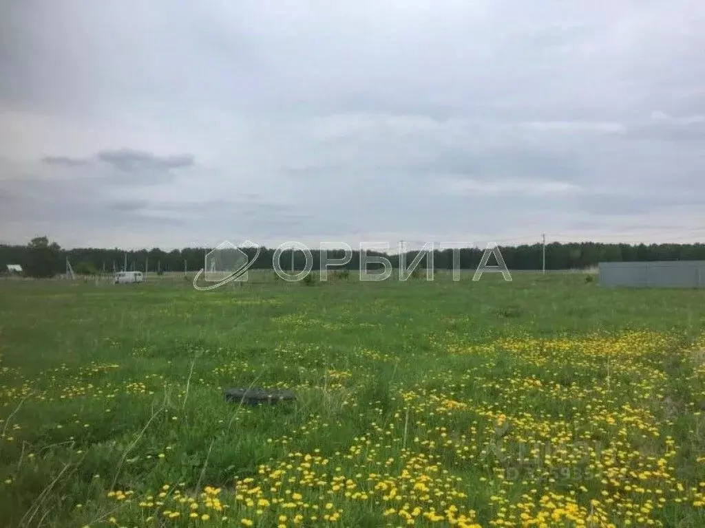 Участок в Тюменская область, Нижнетавдинский муниципальный округ, ... - Фото 2