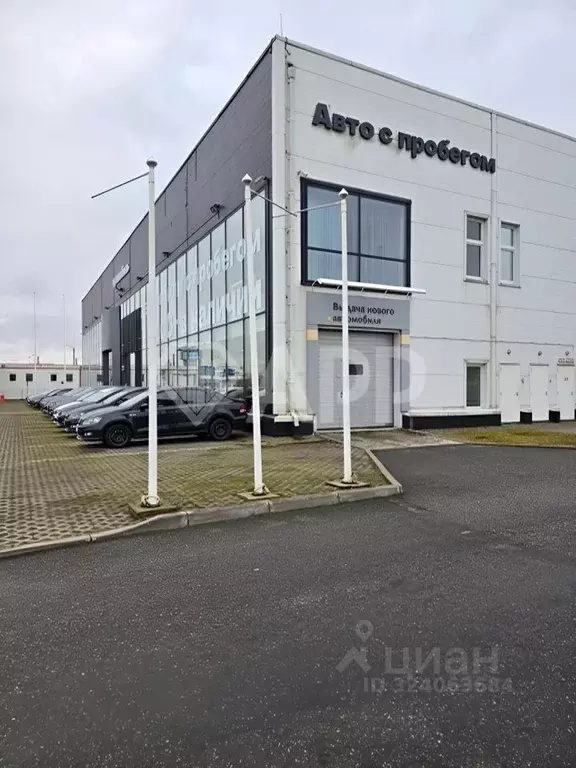 Помещение свободного назначения в Ленинградская область, Кудрово г. ... - Фото 0