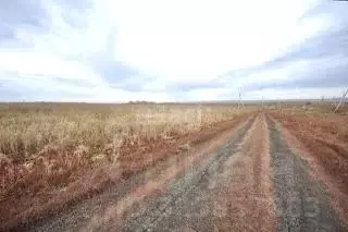 Участок в Башкортостан, Мелеузовский район, Зирганский сельсовет, д. ... - Фото 1