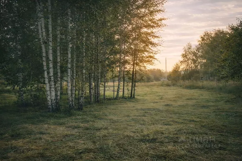 Участок, 15 сот., сельхоз (снт или днп) - Фото 1