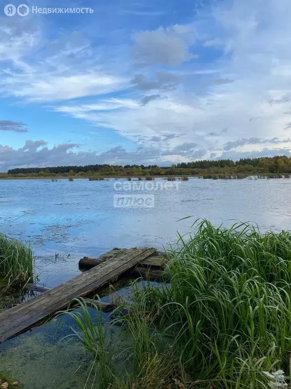 Дом в Киров, слобода Дымково, Пермская улица, 25А (52 м) - Фото 1