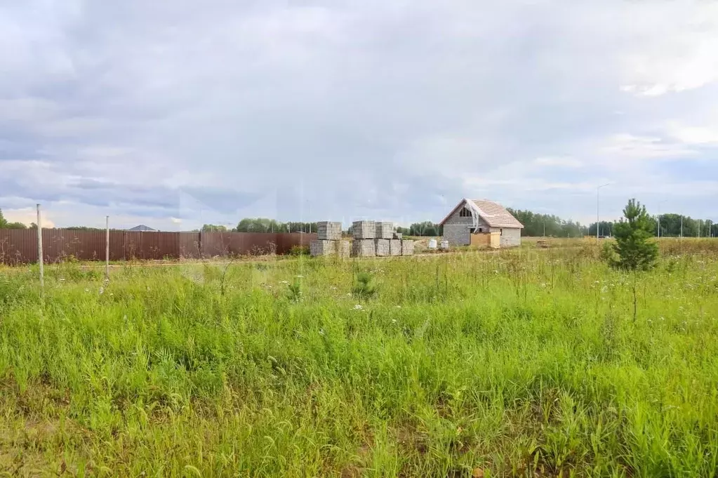 Участок в Тюменская область, Тюменский район, Новокаменский кп  (10.0 ... - Фото 0