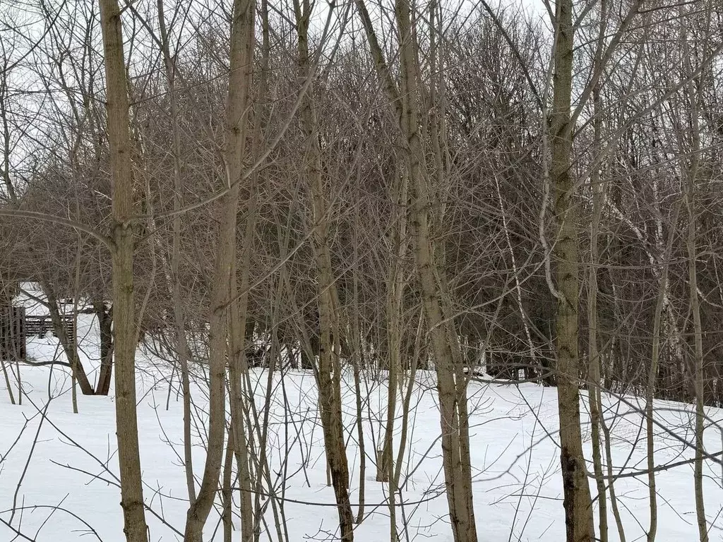 Участок в Московская область, Коломна городской округ, д. Смедово  ... - Фото 1