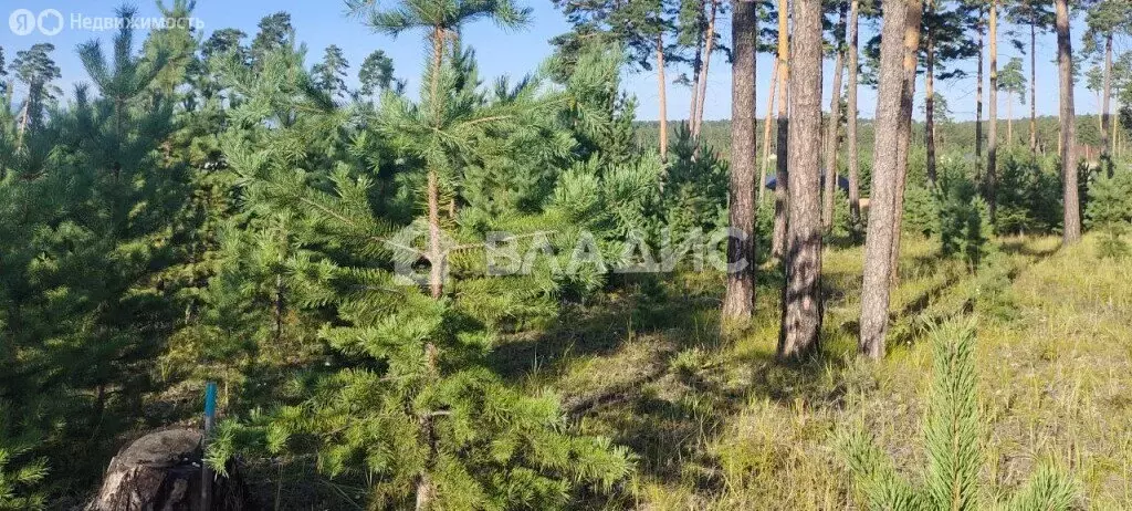 Участок в Улан-Удэ, Энергетическая улица (7.24 м) - Фото 2