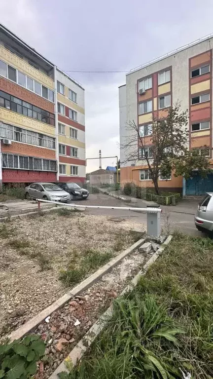 Помещение свободного назначения в Татарстан, Альметьевск ул. ... - Фото 2