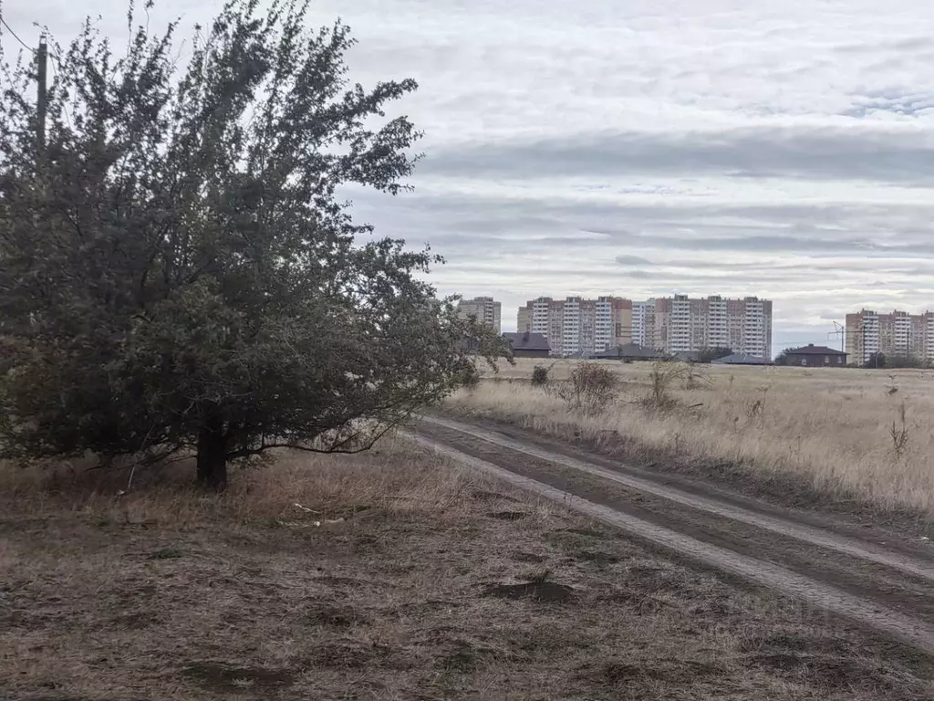 Участок в Ростовская область, Ростов-на-Дону Луч садовое товарищество, ... - Фото 2