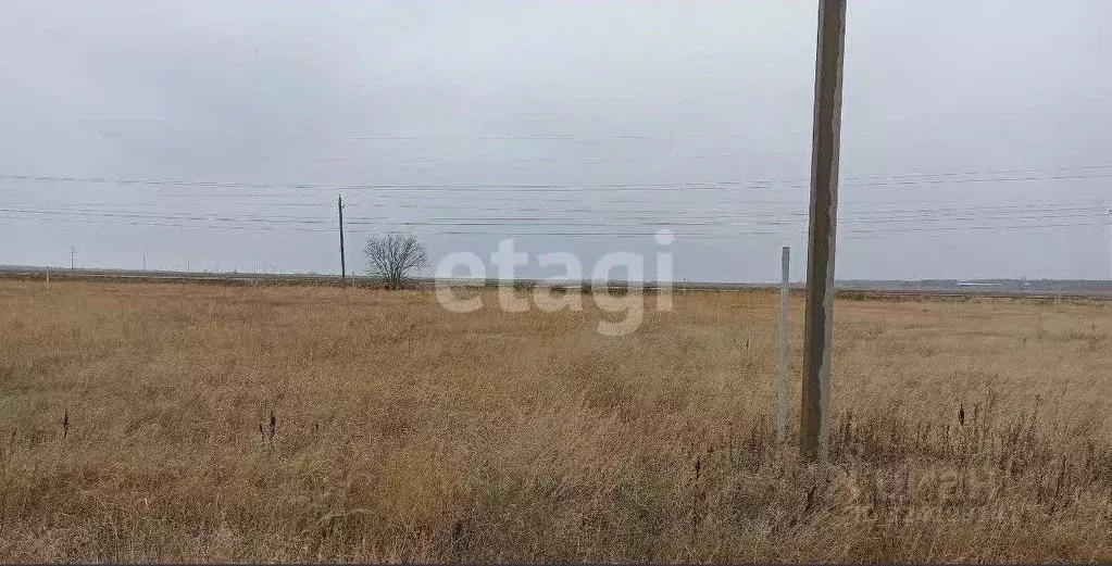 Участок в Ростовская область, Аксайский район, Ольгинское с/пос, ... - Фото 2