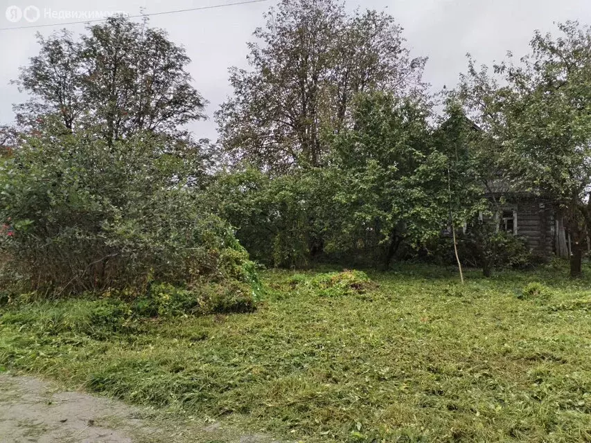 Дом в Волосовский район, Рабитицкое сельское поселение, деревня ... - Фото 1