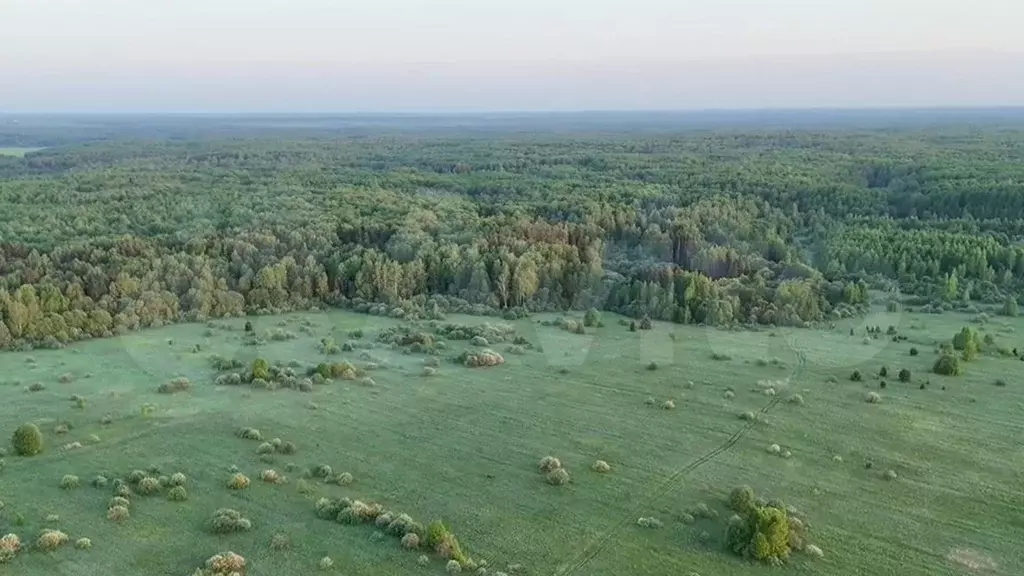 Участок 10 сот. (ИЖС) - Фото 0