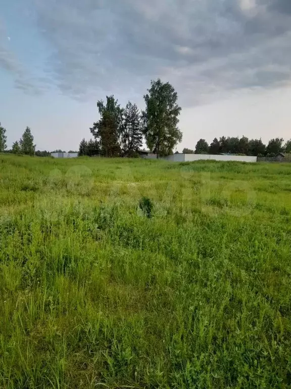 Участок 12,5 сот. (ИЖС) - Фото 1