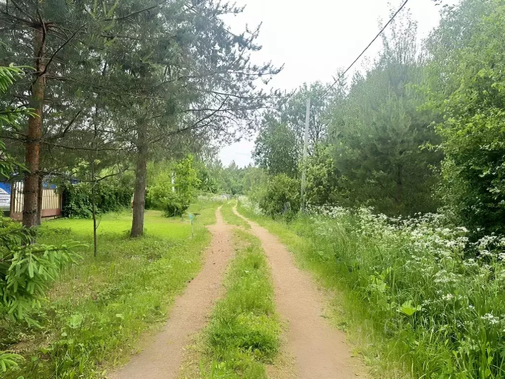 Участок в Московская область, Клин городской округ, д. Жестоки  (15.0 ... - Фото 1