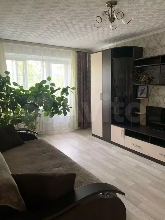 1-к. квартира, 30 м, 3/5 эт. - Фото 0