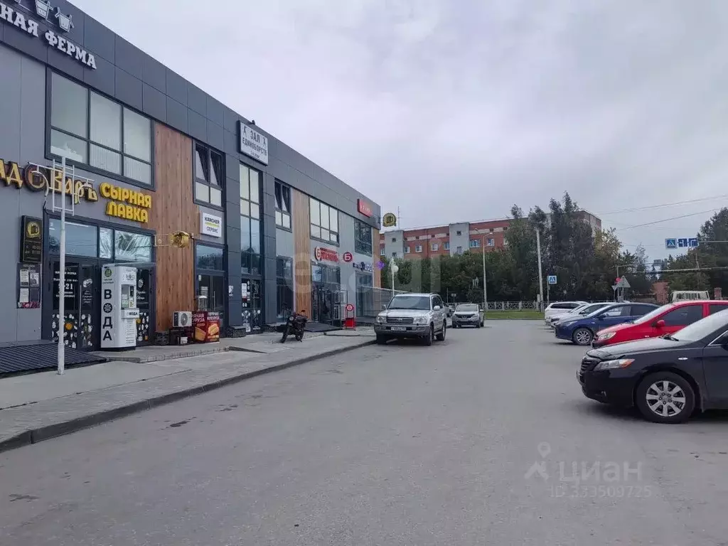 Помещение свободного назначения в Новосибирская область, Бердск ул. ... - Фото 1