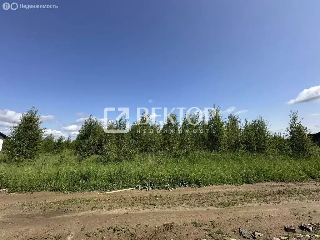Участок в Костромской район, Бакшеевское сельское поселение, деревня ... - Фото 1