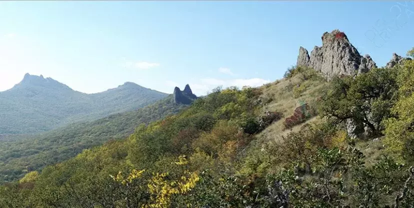 Дом в Крым, Судак муниципальный округ, с. Лесное ул. Вишневая (58 м) - Фото 2