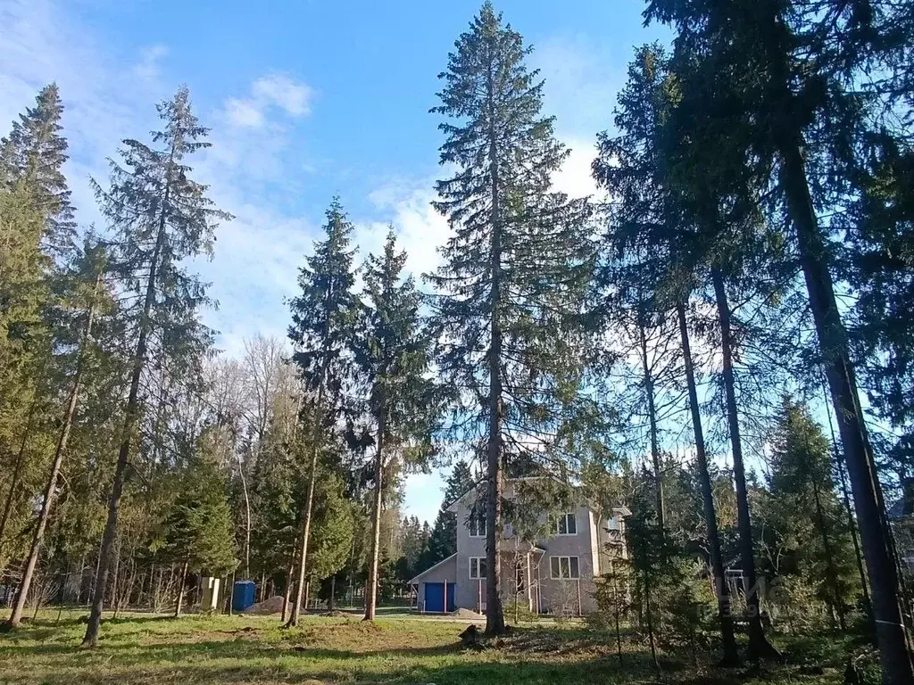 Участок в Московская область, Пушкинский городской округ, д. Могильцы, ... - Фото 2