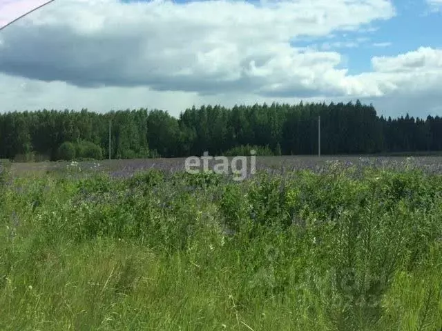 Участок в Кировская область, Киров городской округ, д. Эсауловы  (15.0 ... - Фото 2